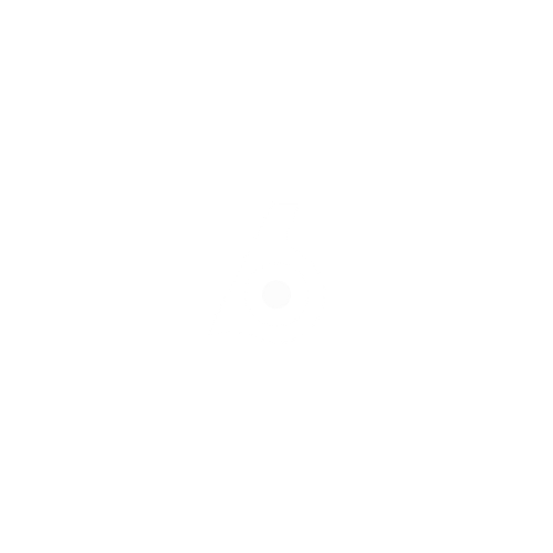 Birdeye